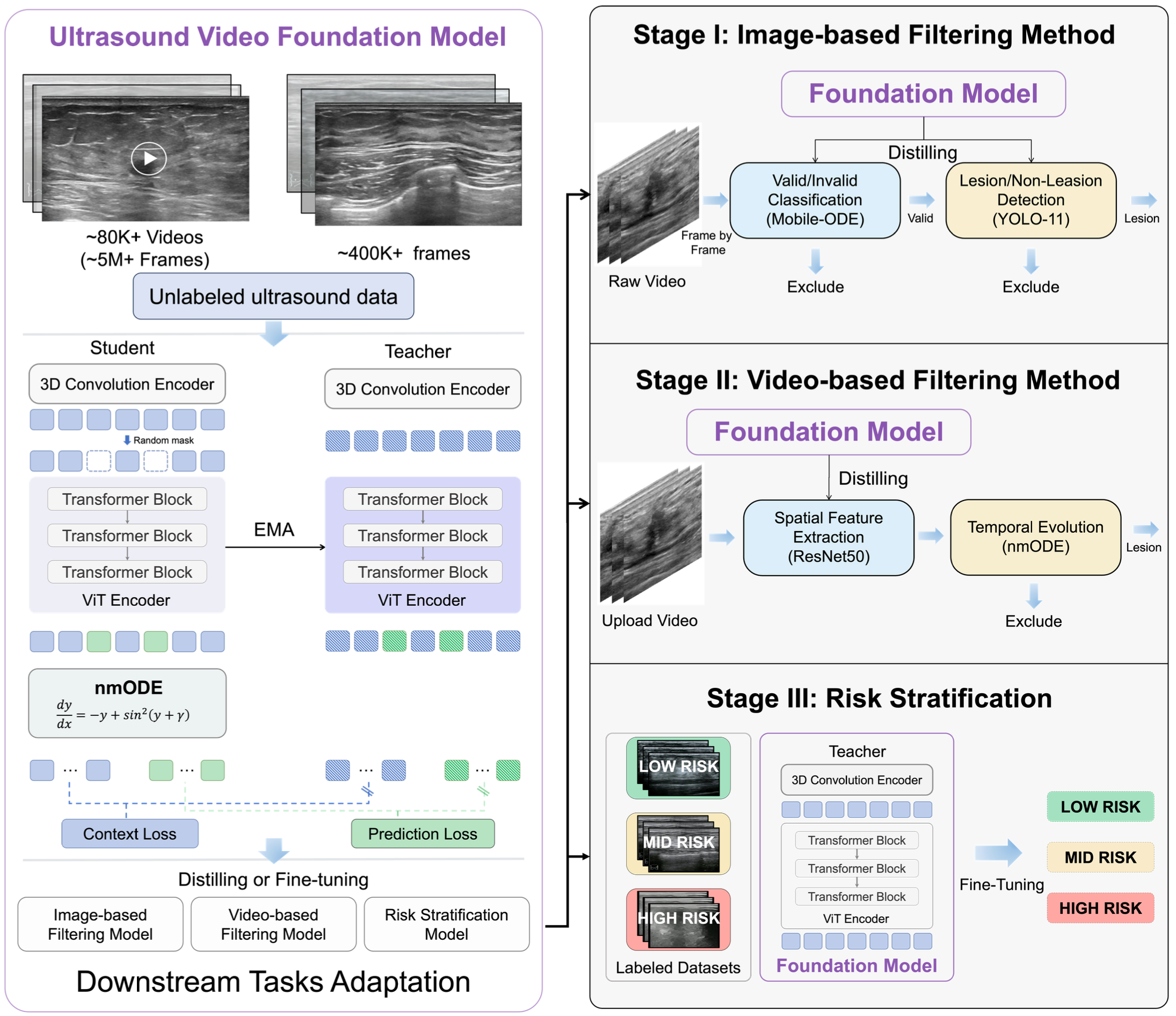 Model Architecture